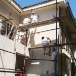 Молери Уникати